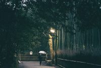 Kyoto Travel Guide: Top Sights, Food, and Hidden Gems