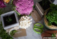 Foods I Live By: Essential Ingredients and Extra Virgin Olive Oil