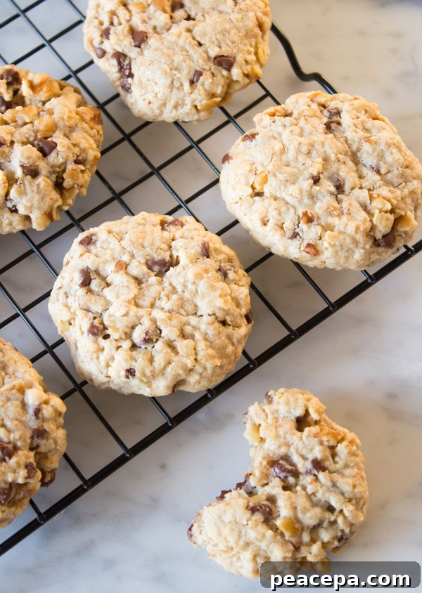 5 Ingredient Vegan simple Recipes Tahini Cookies | www.sweetpotatosoul.com