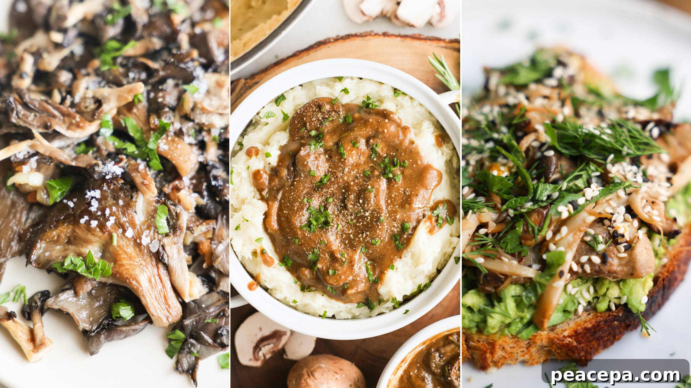 mushroom recipes graphic