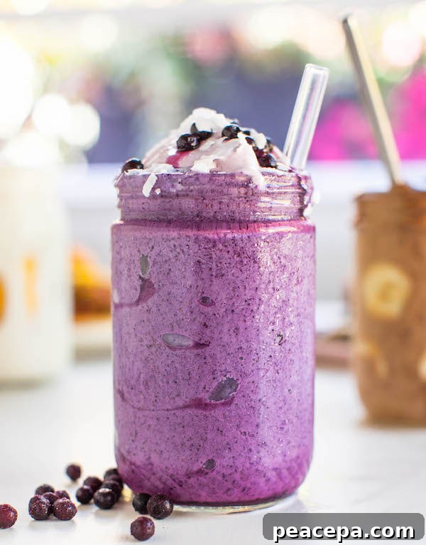 Vegan Milkshakes Blueberry Cardamom | @sweetpotatosoul