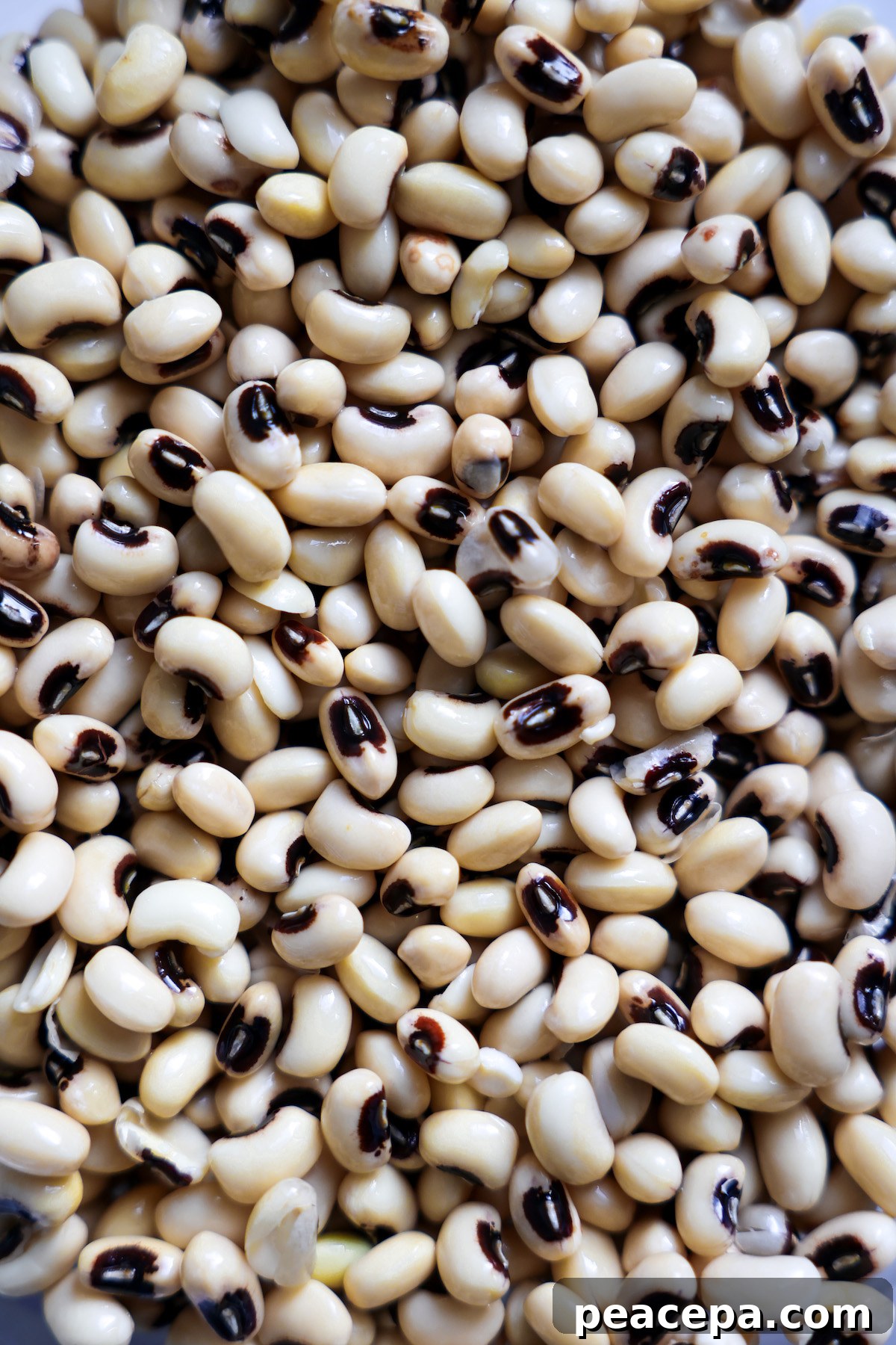 close up image of raw black eyed peas