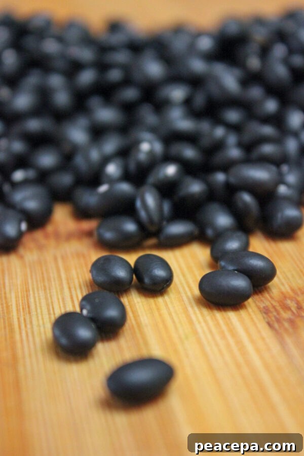 Dried black beans used for natural fabric dye