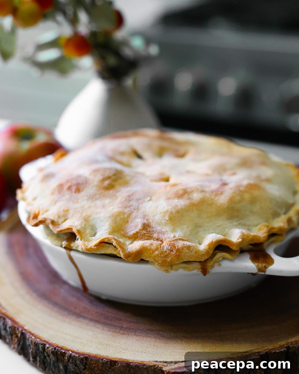 Vegan apple pie in pie dish