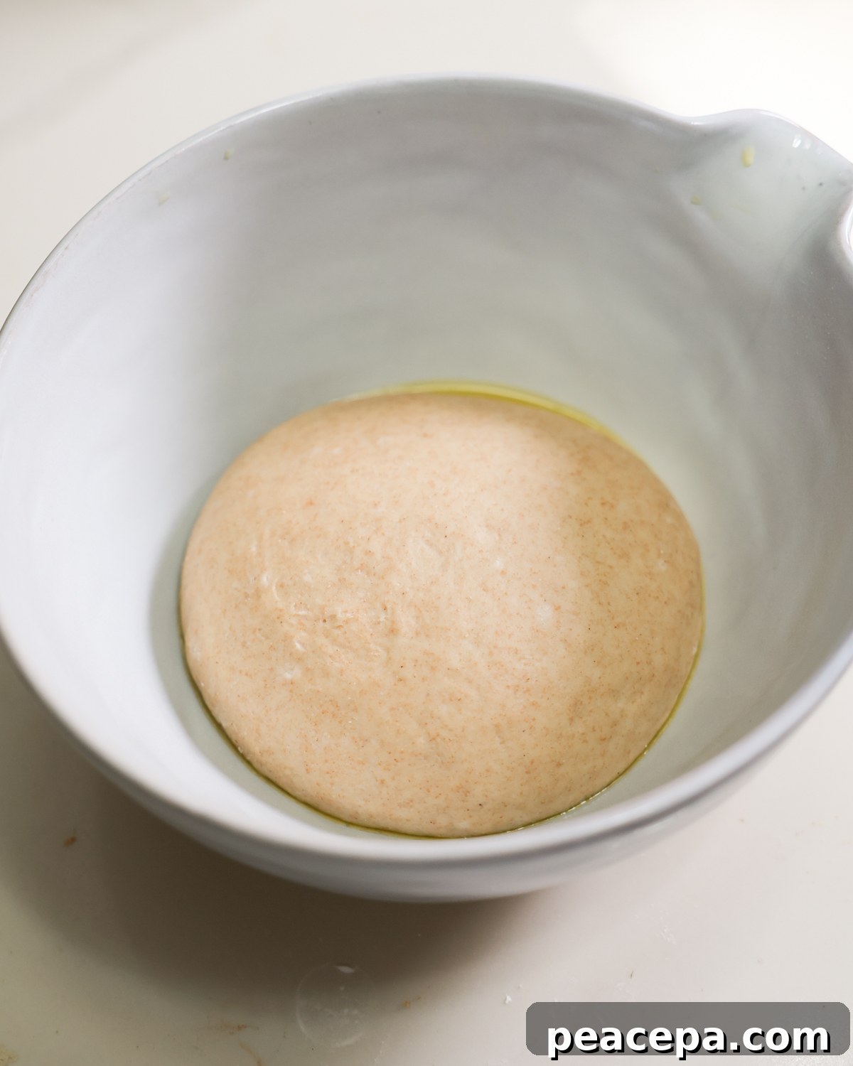risen naan dough