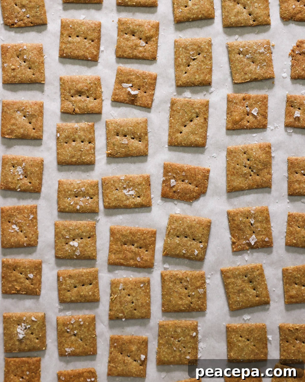 An overhead shot of baked pumpkin seed crackers with flaky sea salt on a sheet of parchment paper.