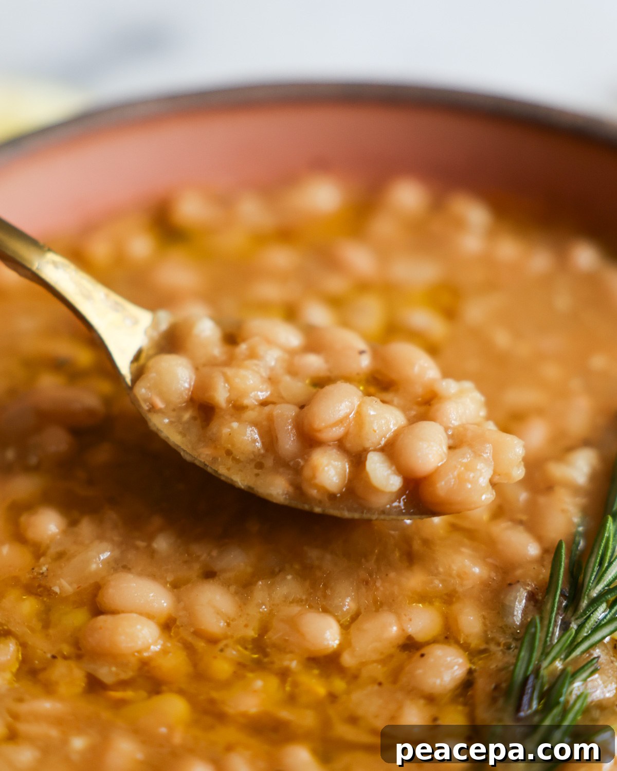 An up-close shot of a spoonful of Instant Pot white beans with lemon and rosemary