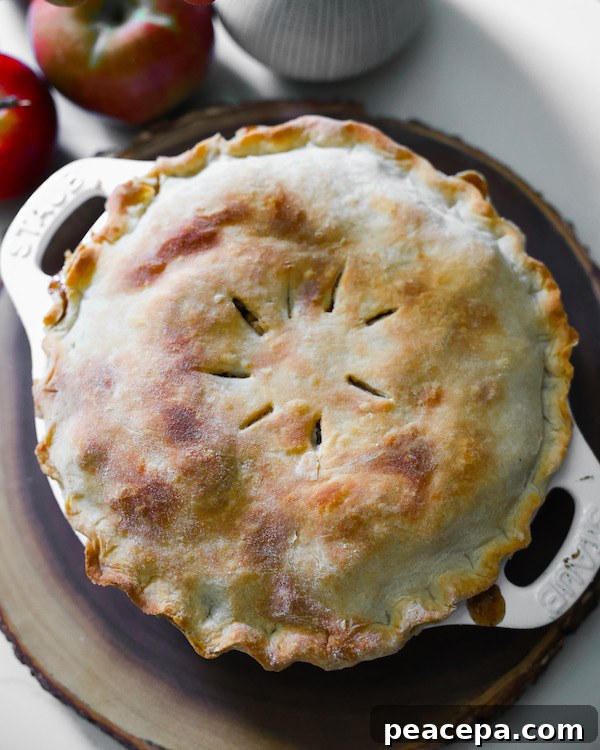 Whole Vegan apple pie overhead