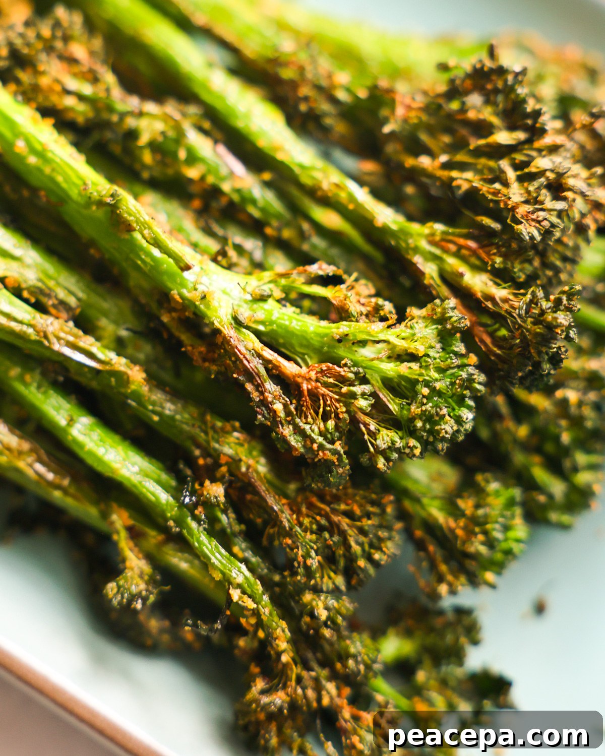 Air fryer broccolini on a plate.