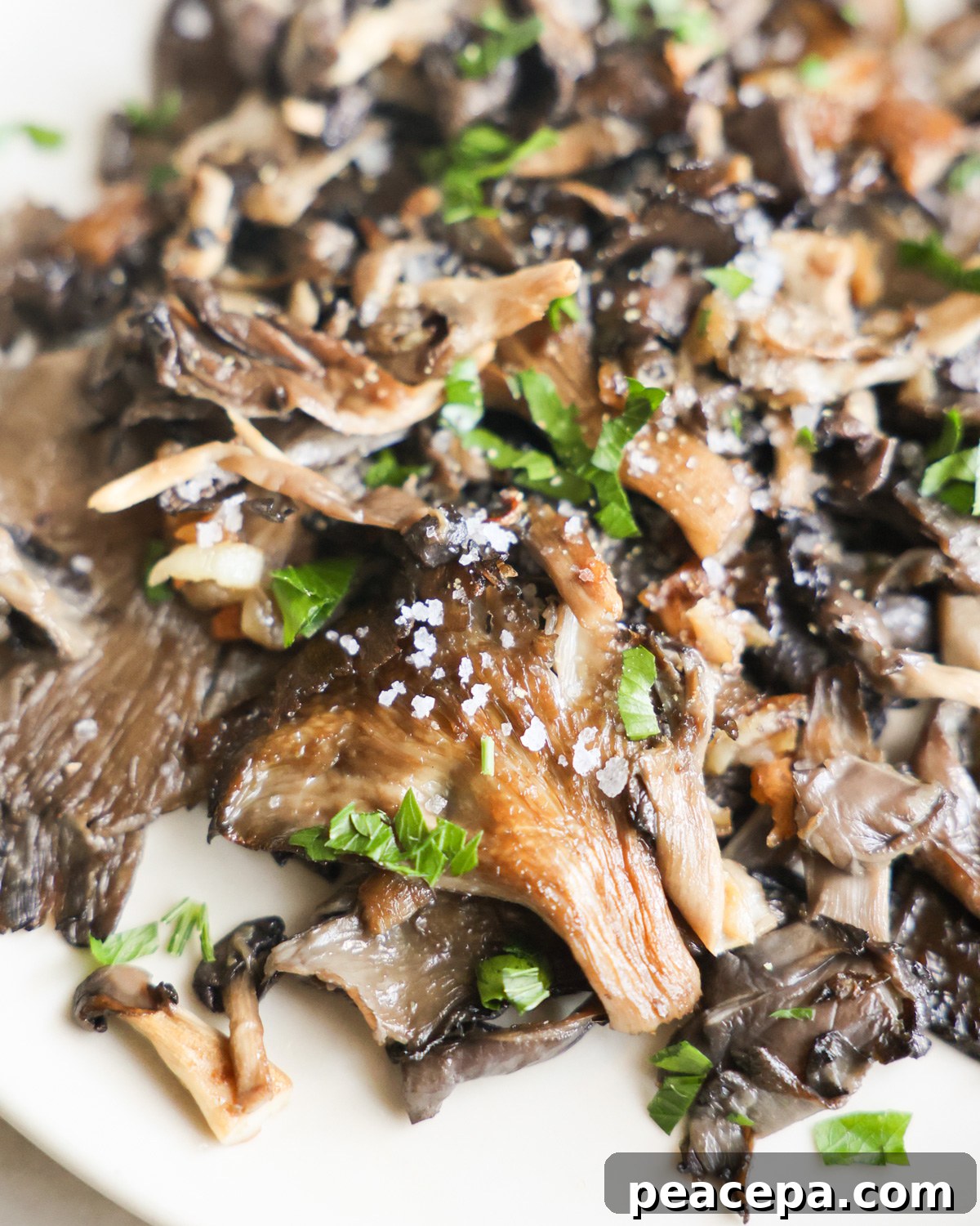 close up of Pan-Fried Oyster Mushrooms on plate