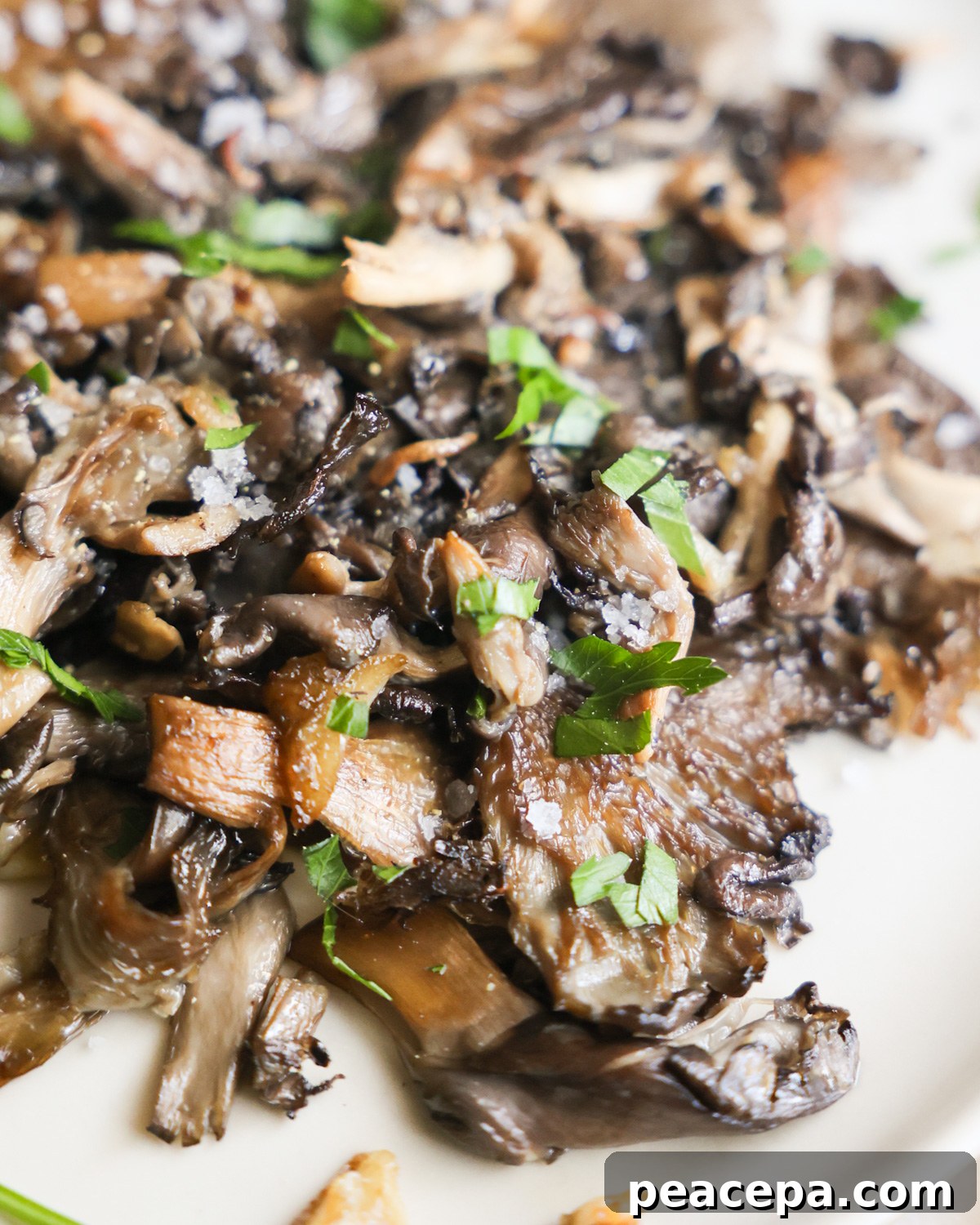 plate of pan fried oyster mushrooms