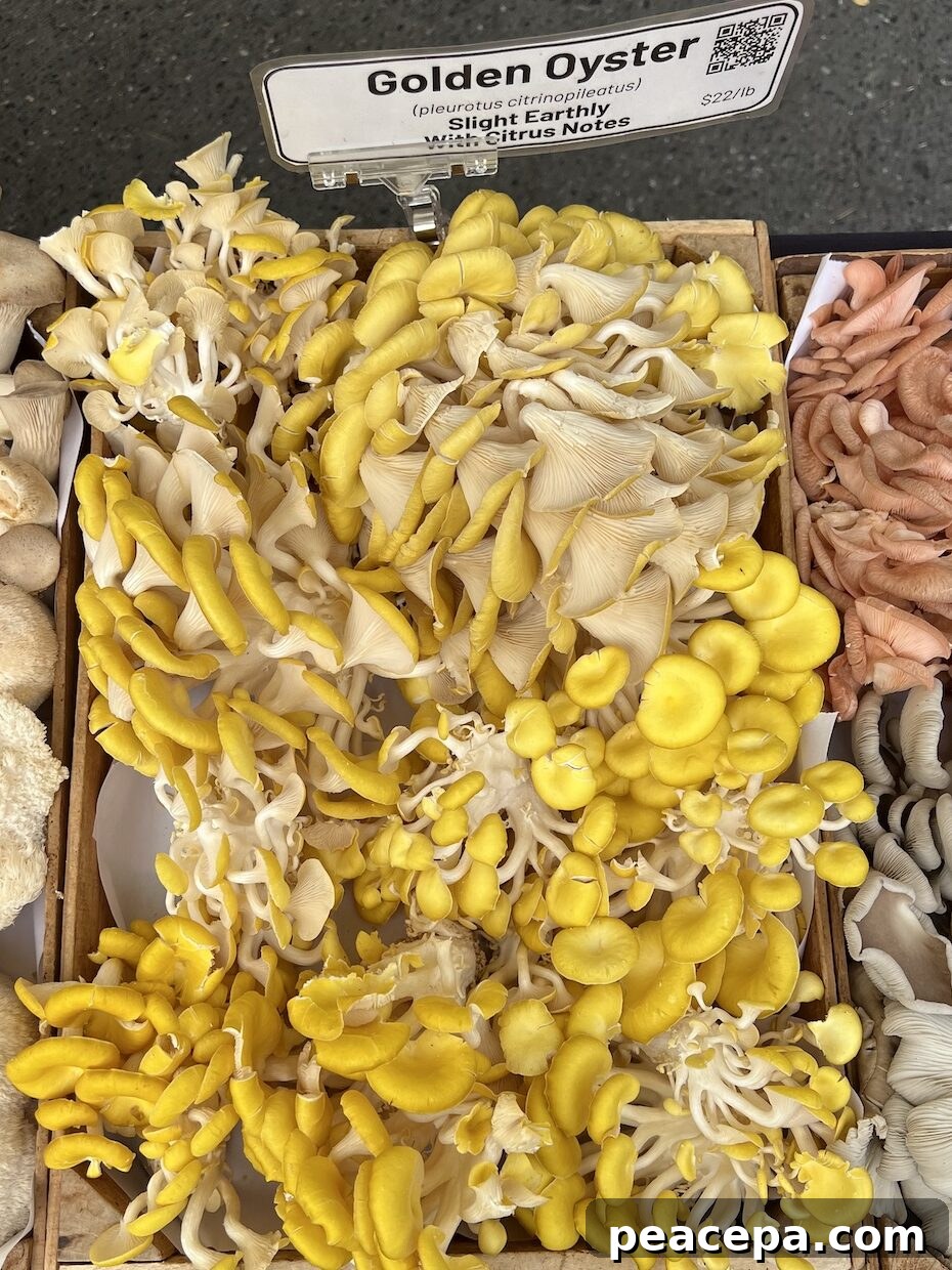 yellow oyster mushrooms at a farmers market