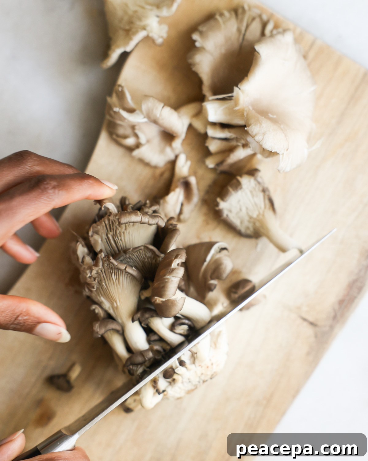slicing oyster mushrooms