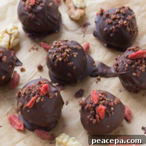 Goji Berry Walnut Truffles