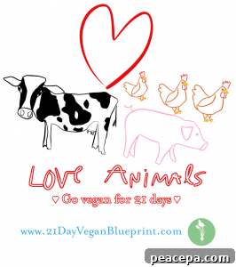 Love animals graphic
