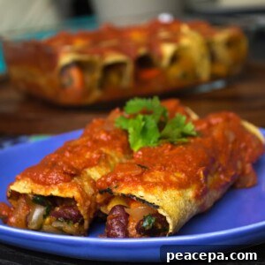 Butternut Squash Enchiladas