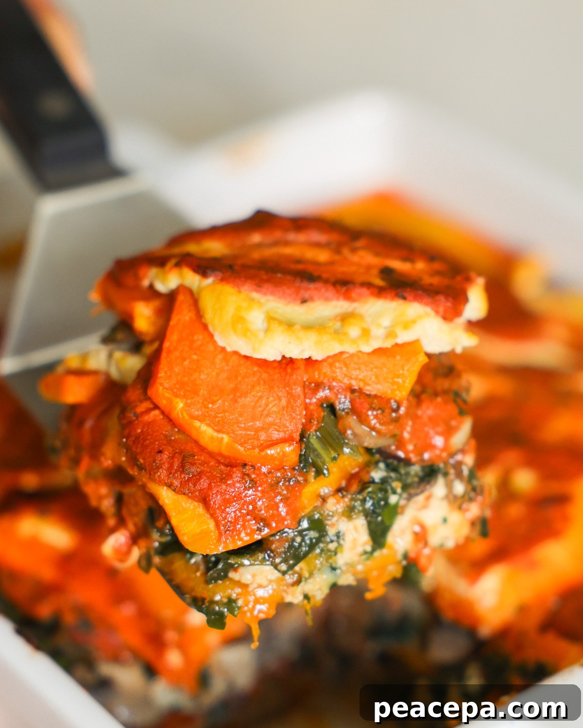 slice of butternut squash lasagna