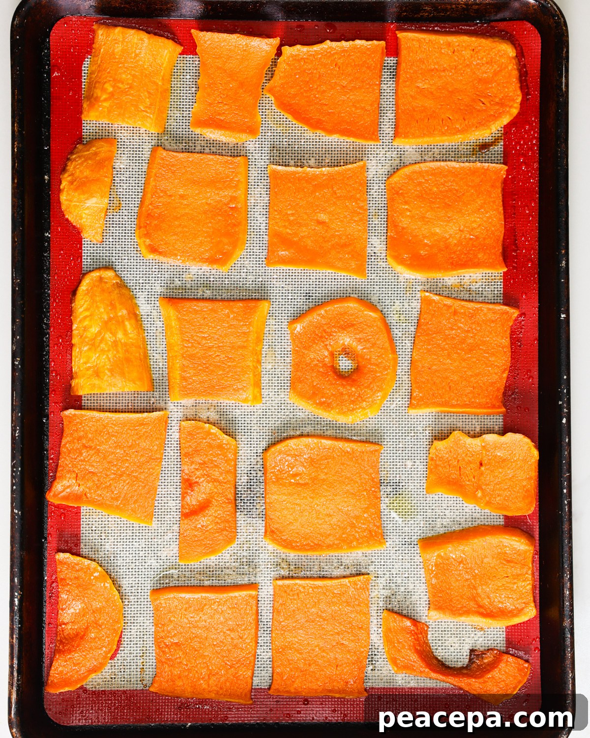 overhead roasted butternut squash 