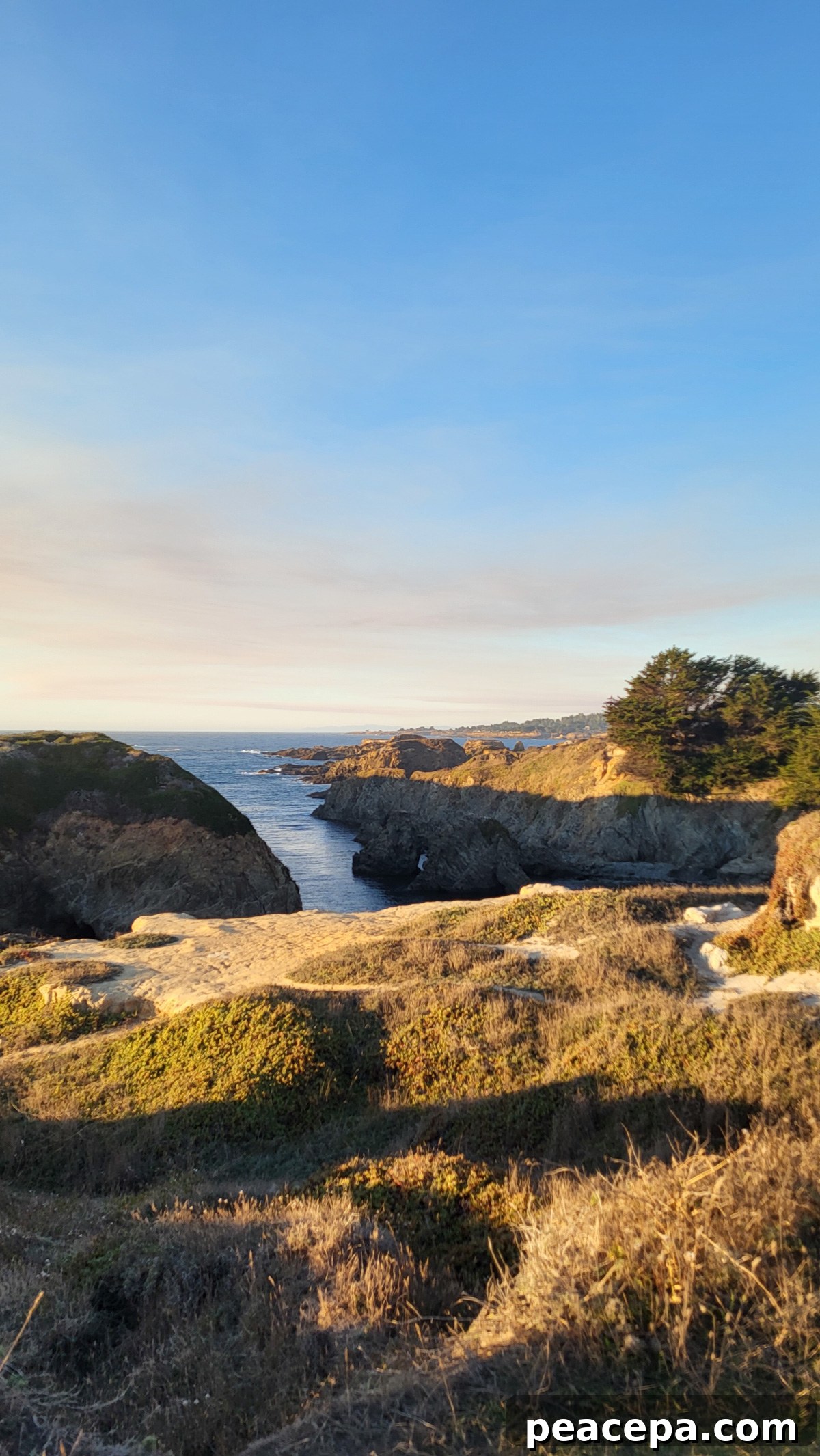mendocino california coast