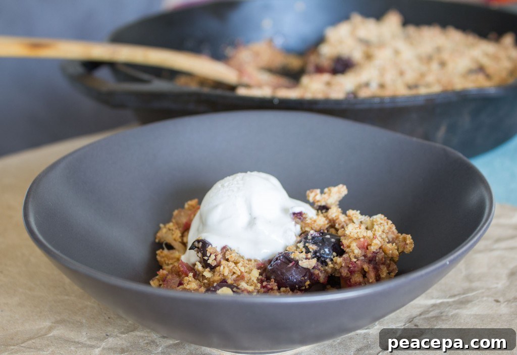 Vegan Cherry Rhubarb Crumble with Vegan Ice Cream