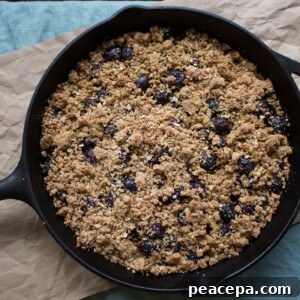 Vegan Cherry Rhubarb Crumble