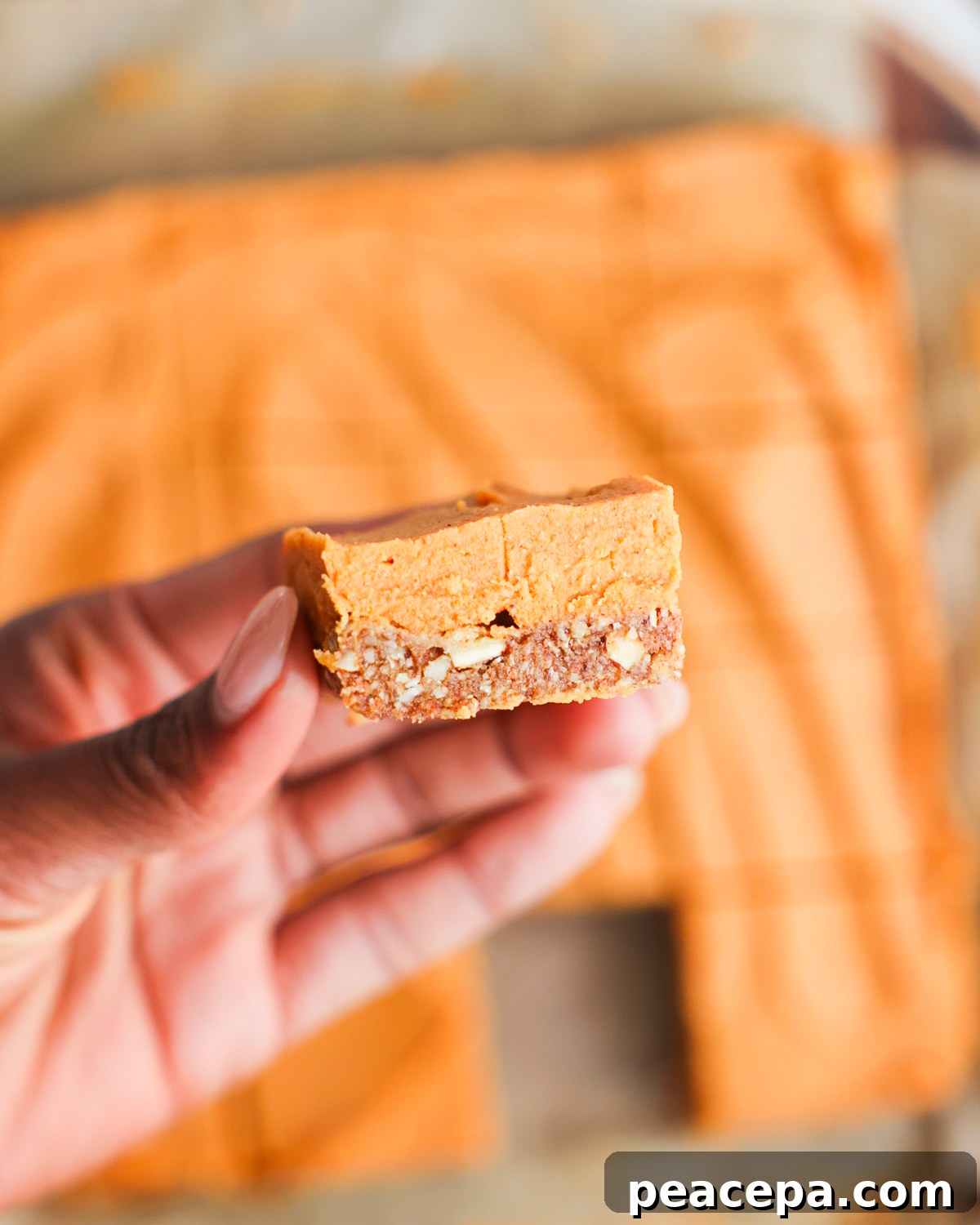 hand holding sweet potato bar