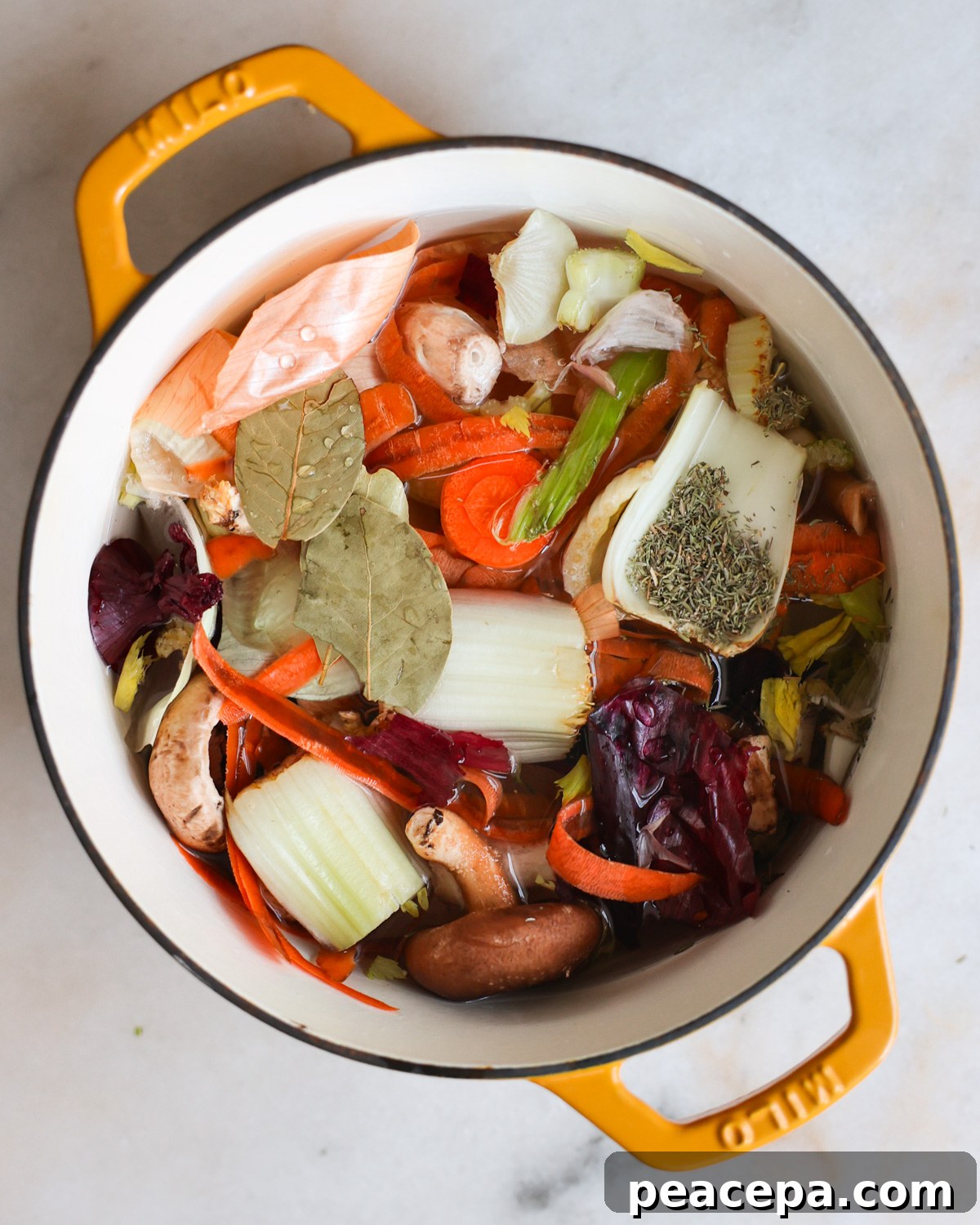 overhead uncooked vegetable broth