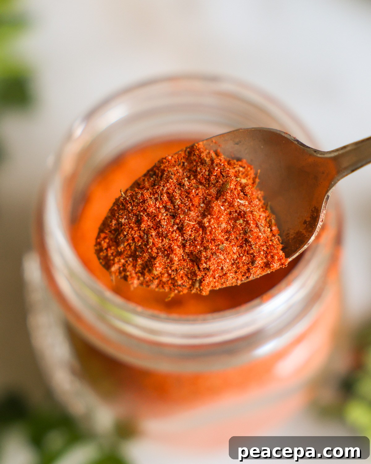 overhead spoonful of homemade creole seasoning