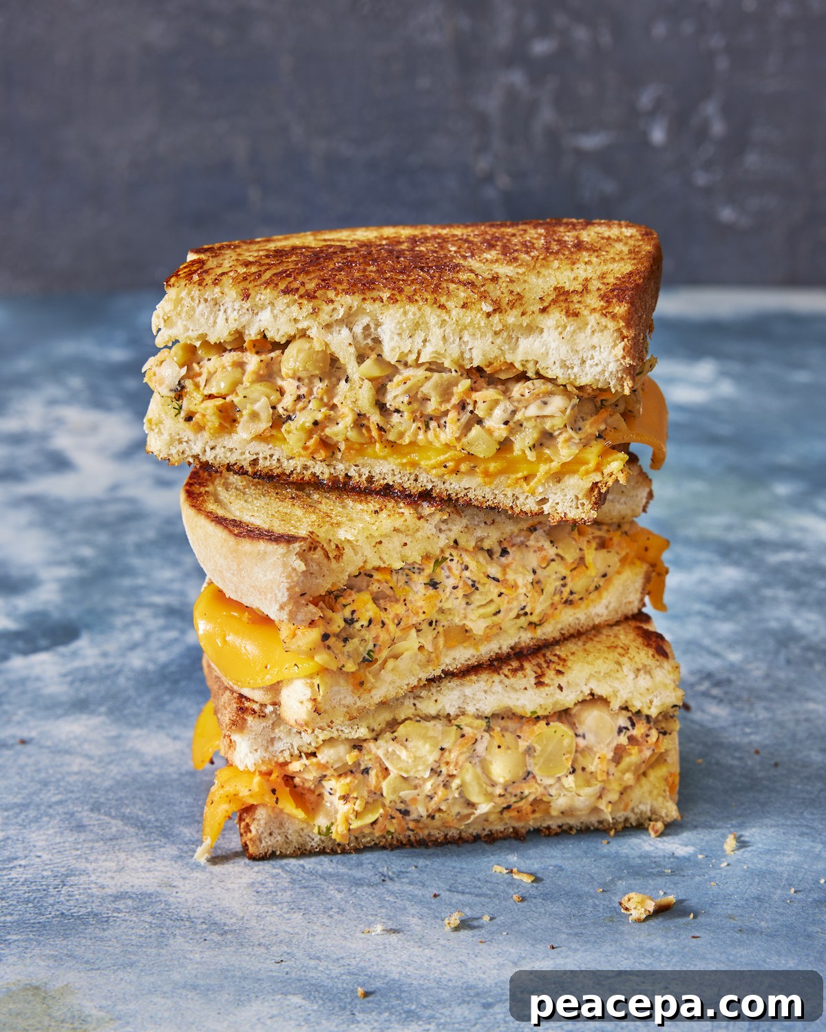 chickpea tuna melt recipe from vegan vibes