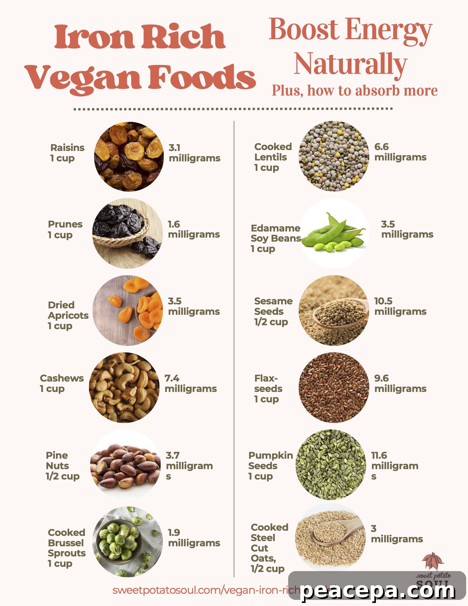 Vegan iron sources chart. 