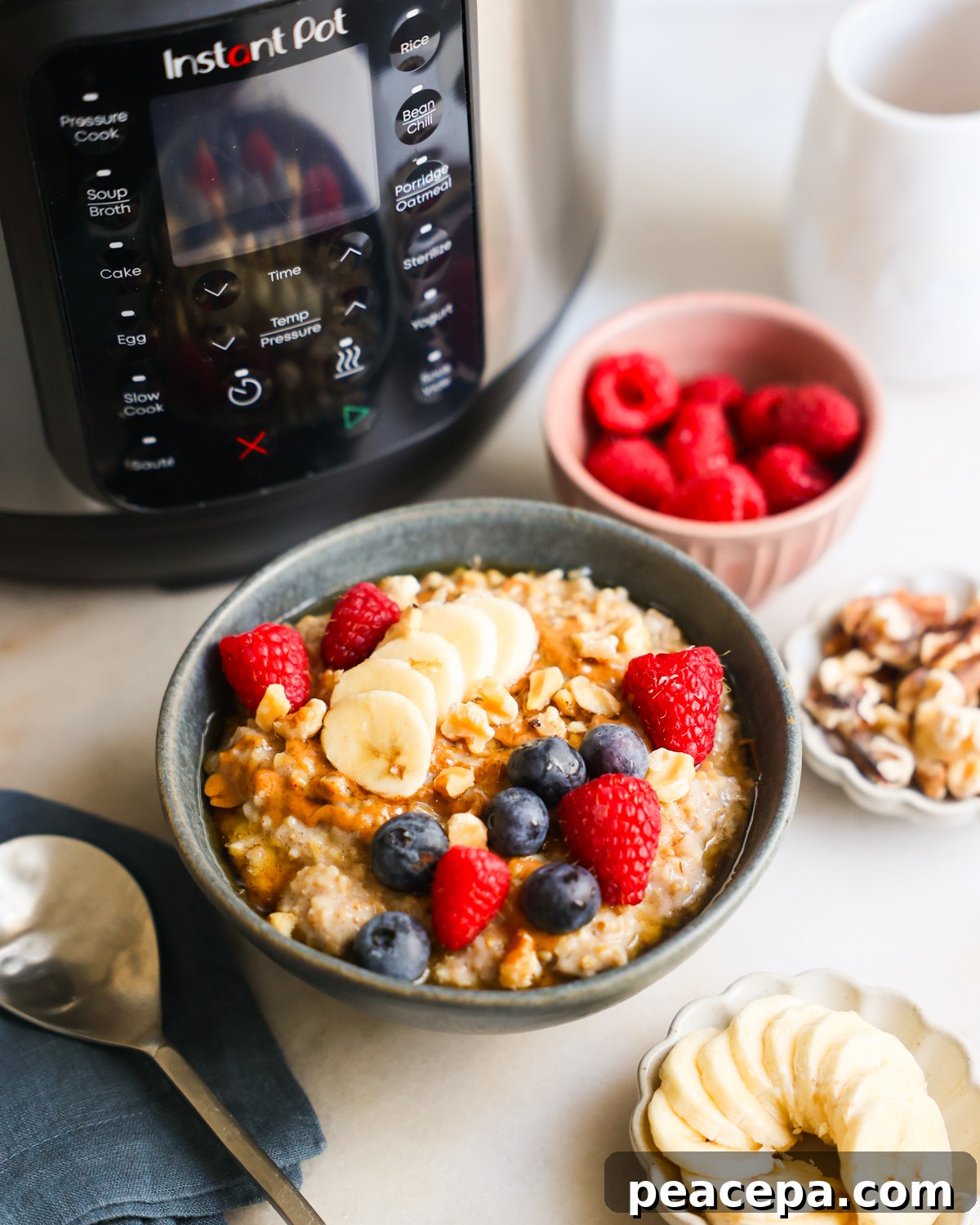 steel cut oats in front of instant pot