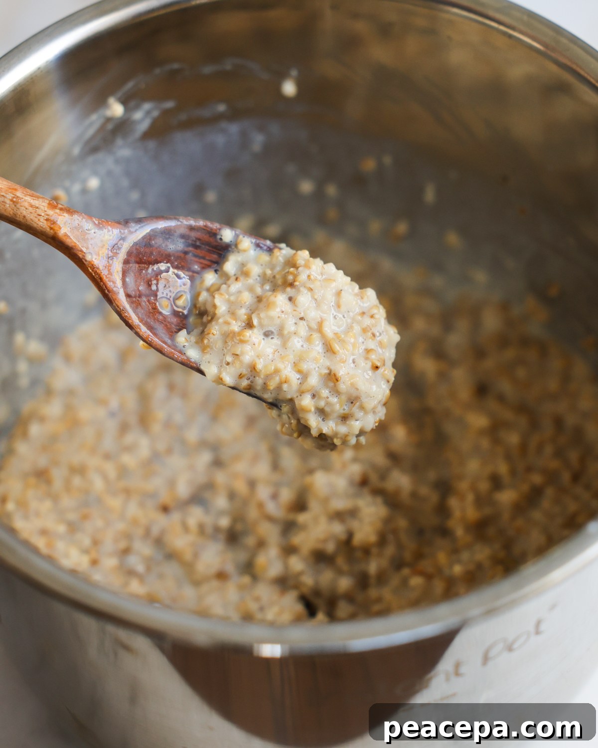 scoop of instant pot steel cut oats