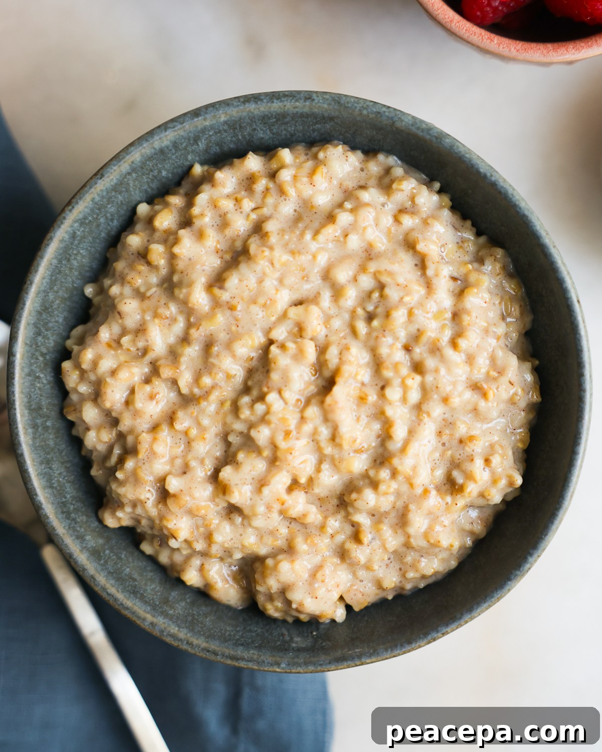 overhead bowl of plain steel cut oats