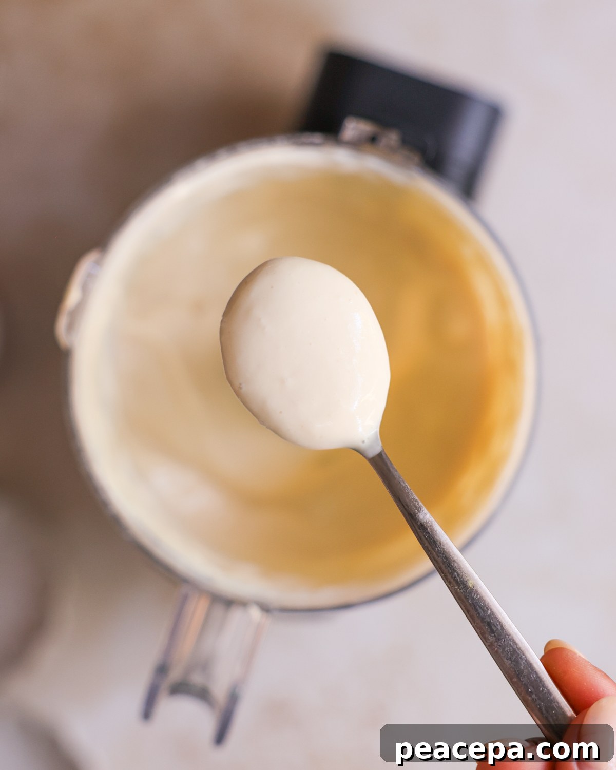 overhead of a spoonful of vegan sour cream