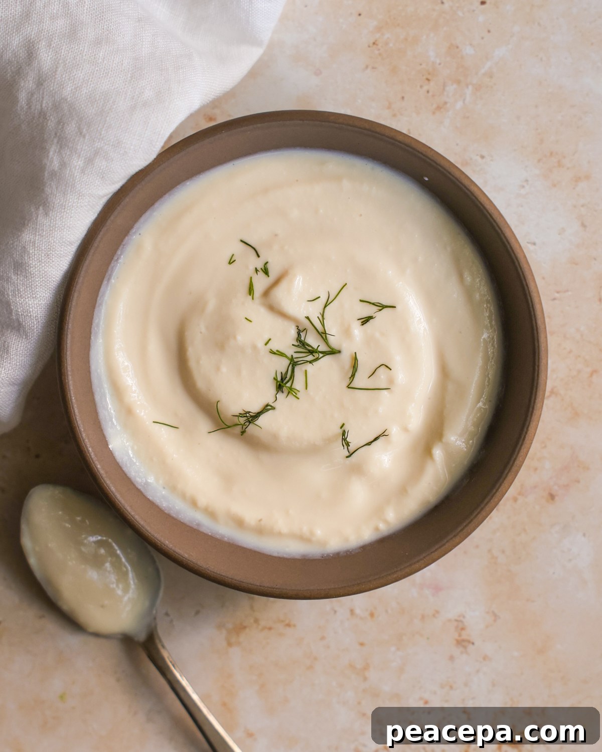 overhead of vegan sour cream