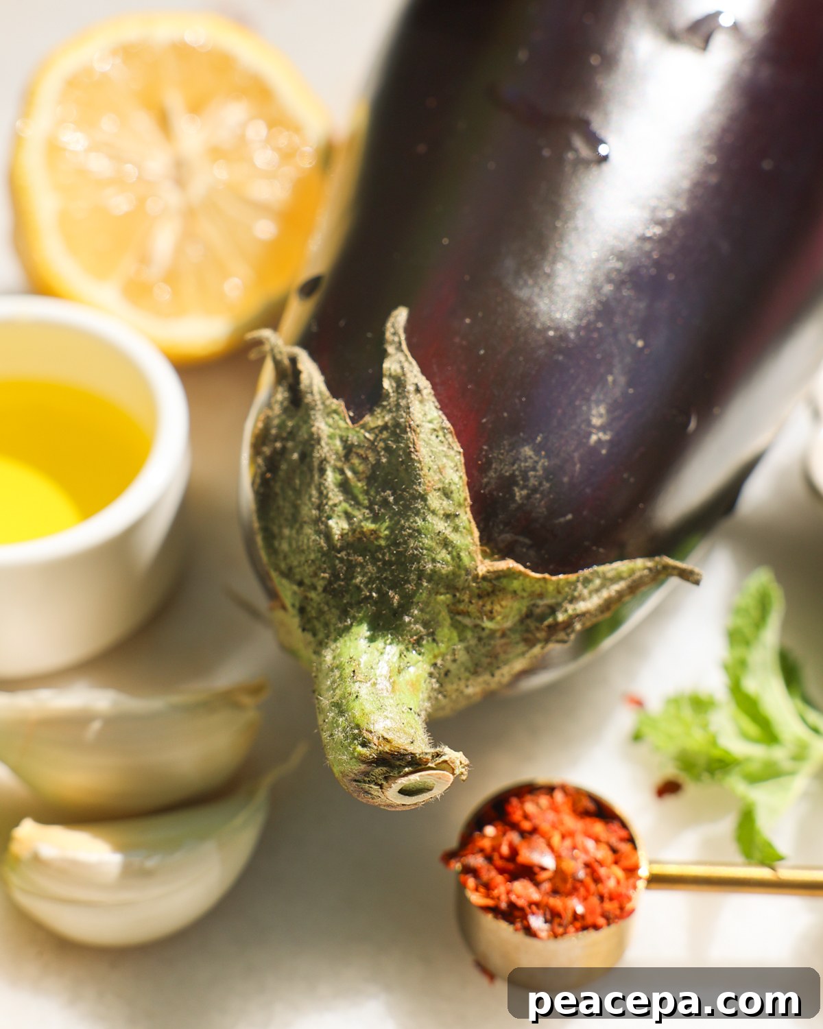 grilled eggplant ingredients on counter