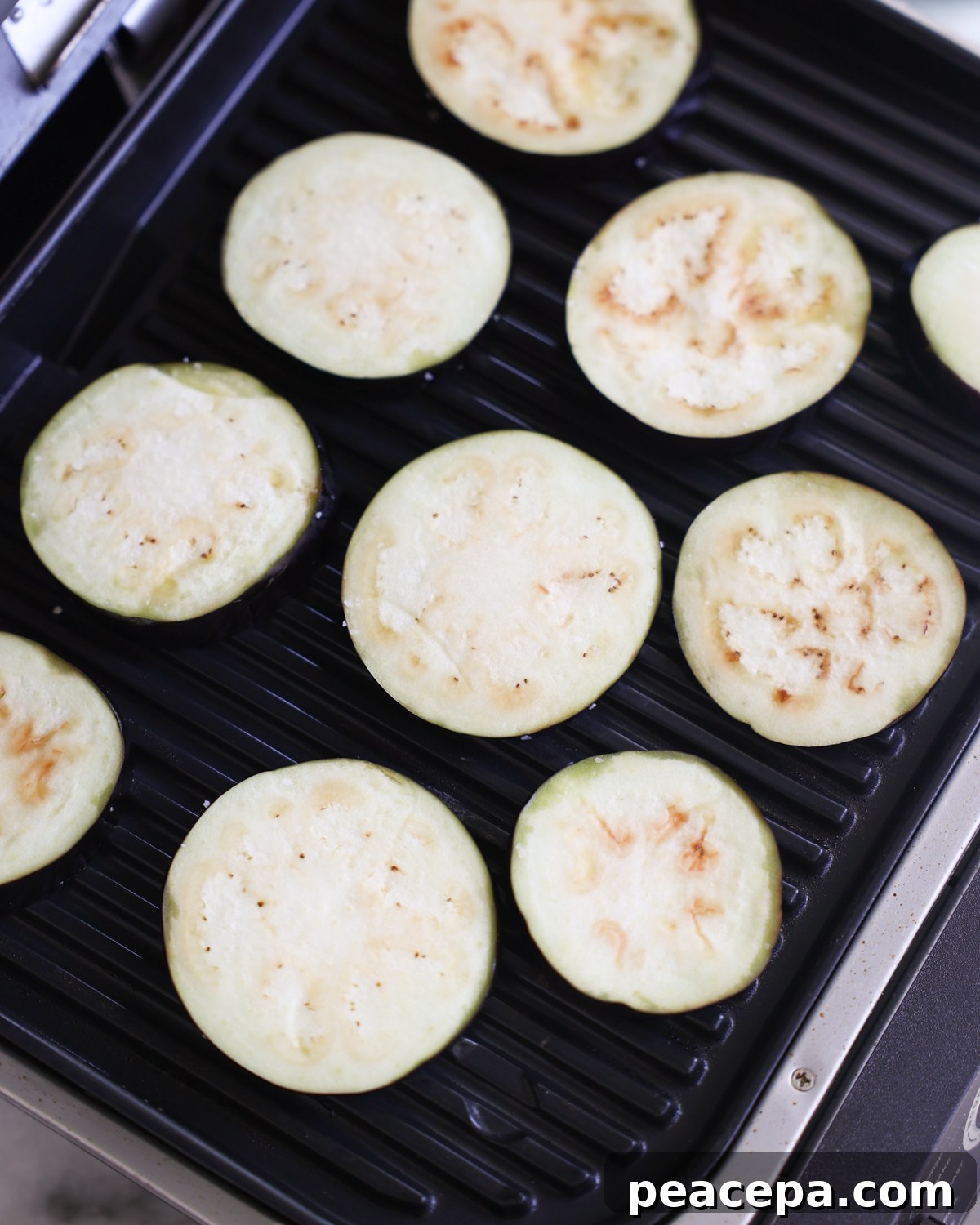 eggplant slices on grill