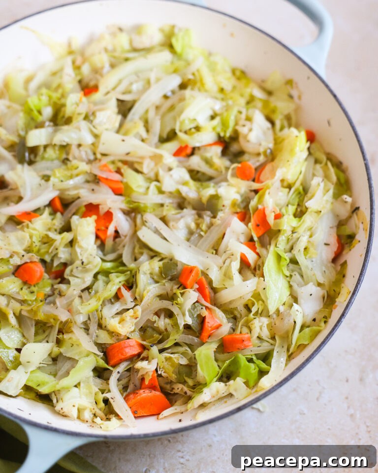 close up braised cabbage