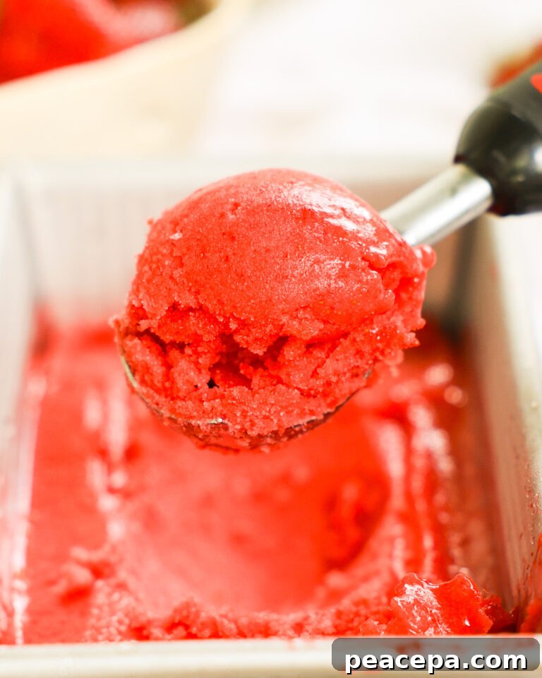 An up-close shot of a scoop of strawberry sorbet.