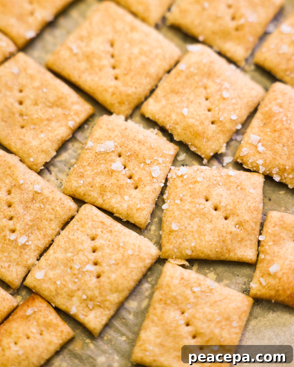 close up sourdough crackers