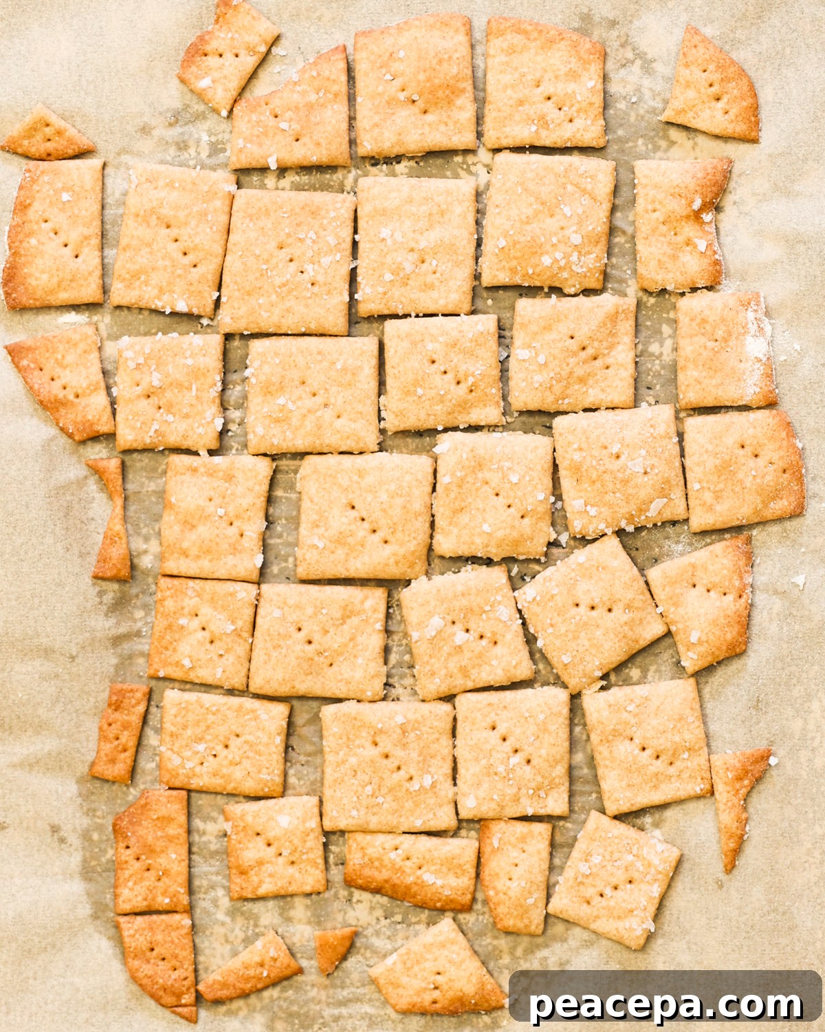 sourdough crackers on baking sheet