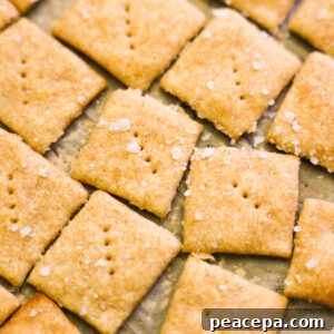 close up sourdough crackers
