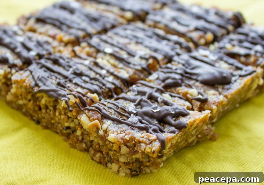 Vegan Fig Walnut Squares