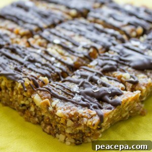 Vegan Fig Walnut Squares