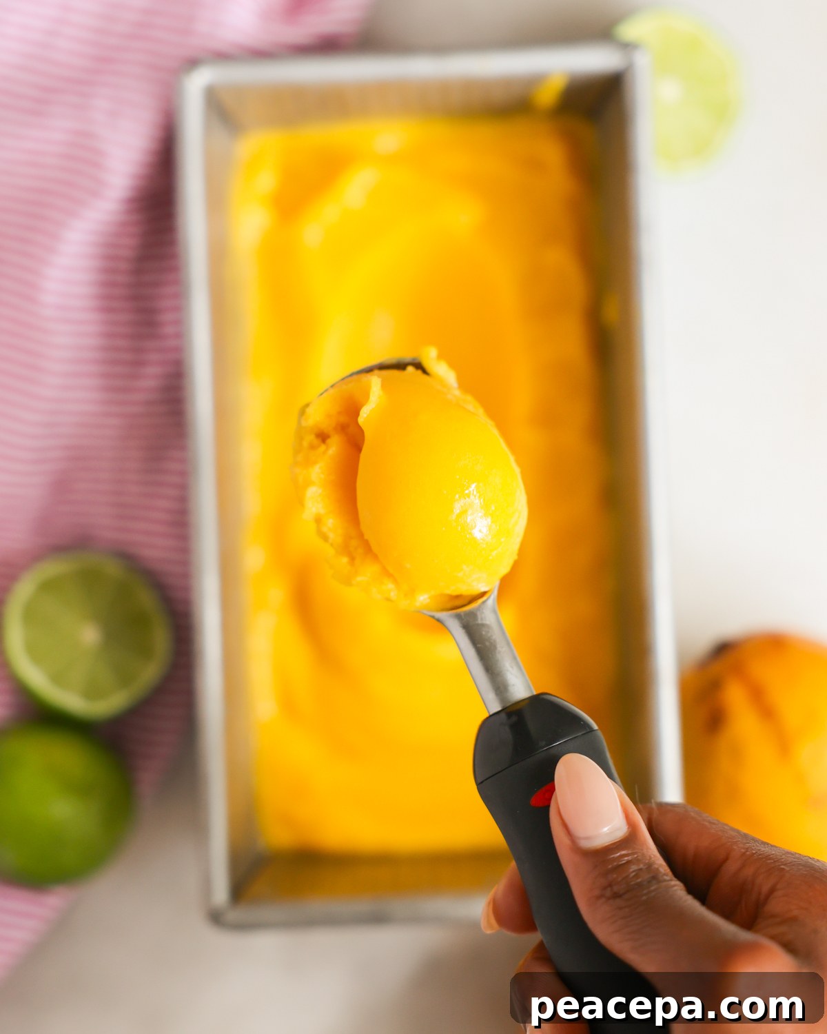 overhead of a scoop of sorbet