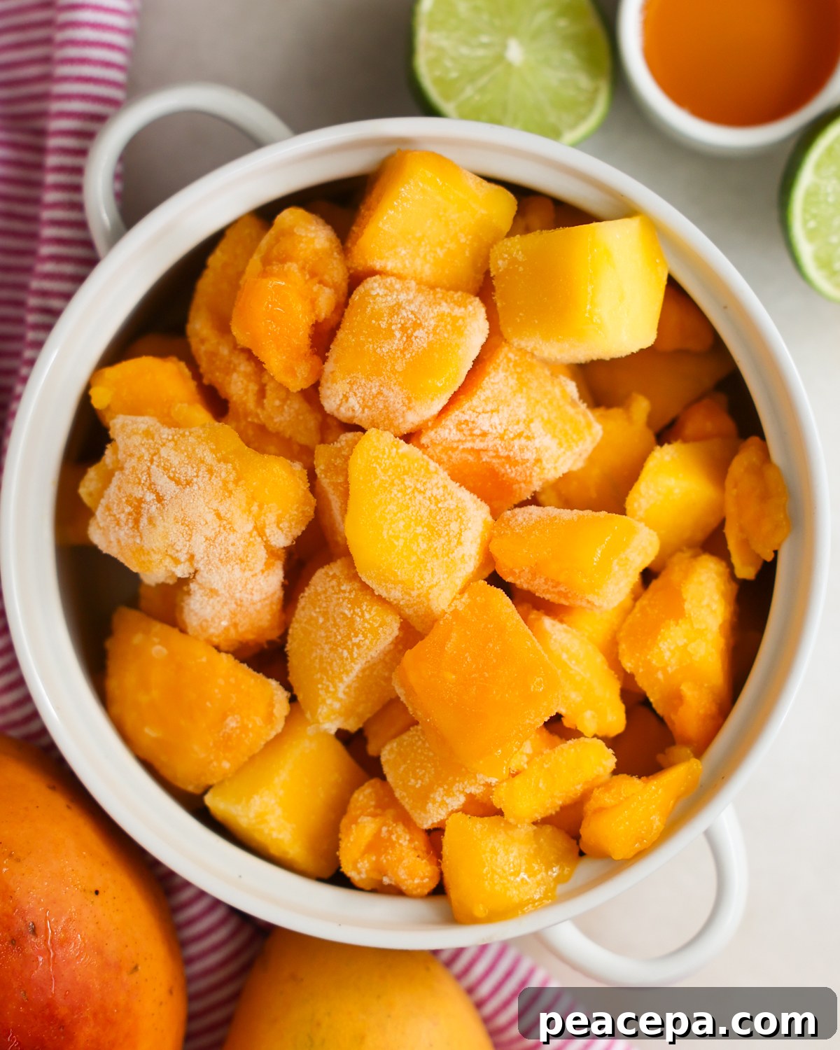 overhead of ingredients for mango sorbet