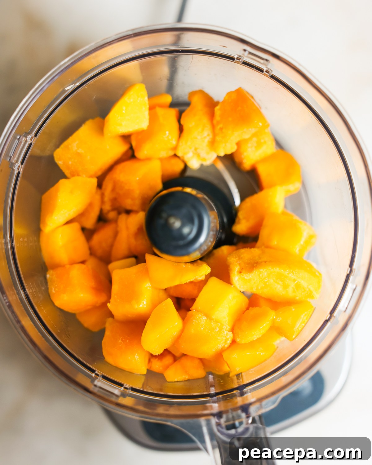 mango added to food processor