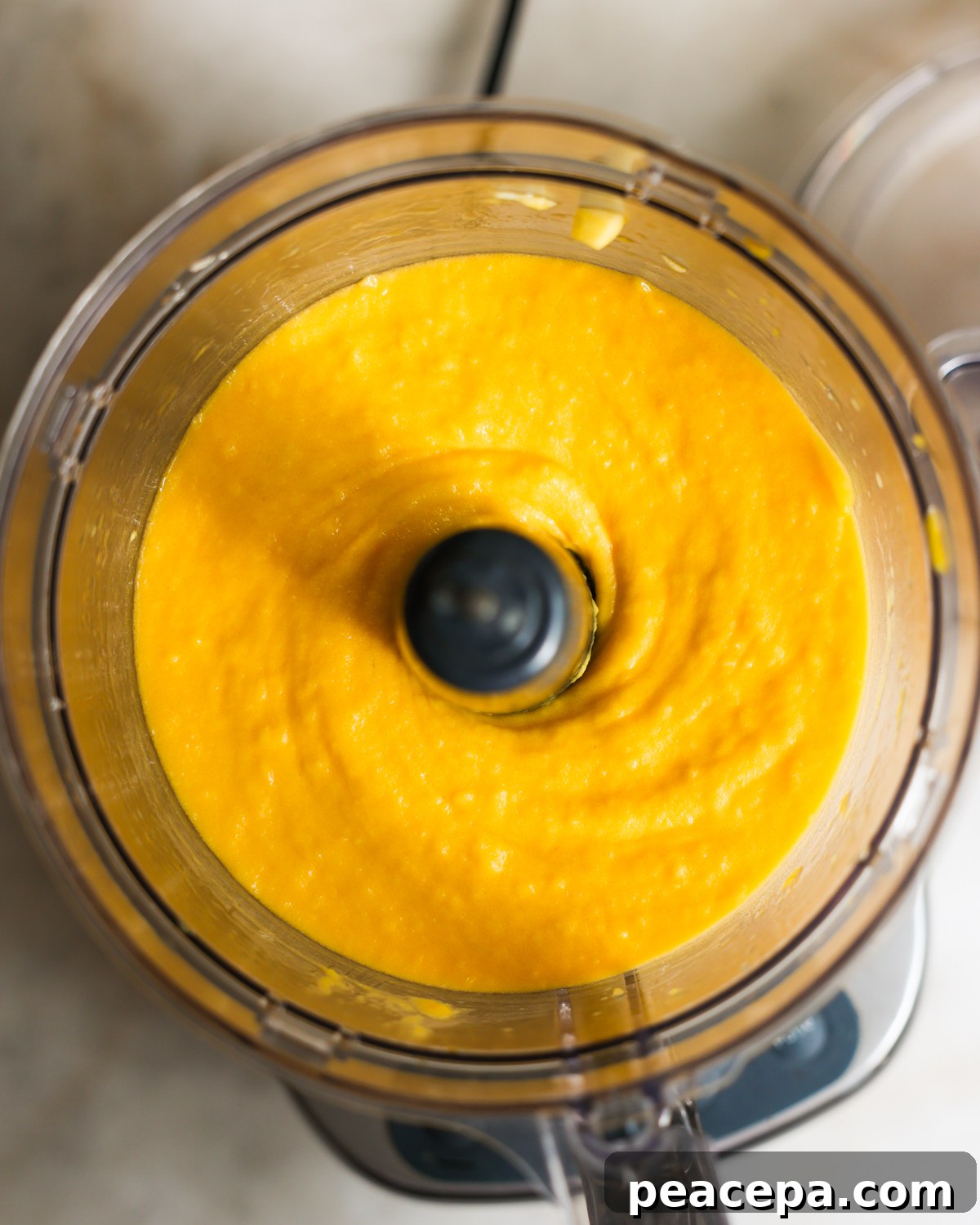 blended sorbet