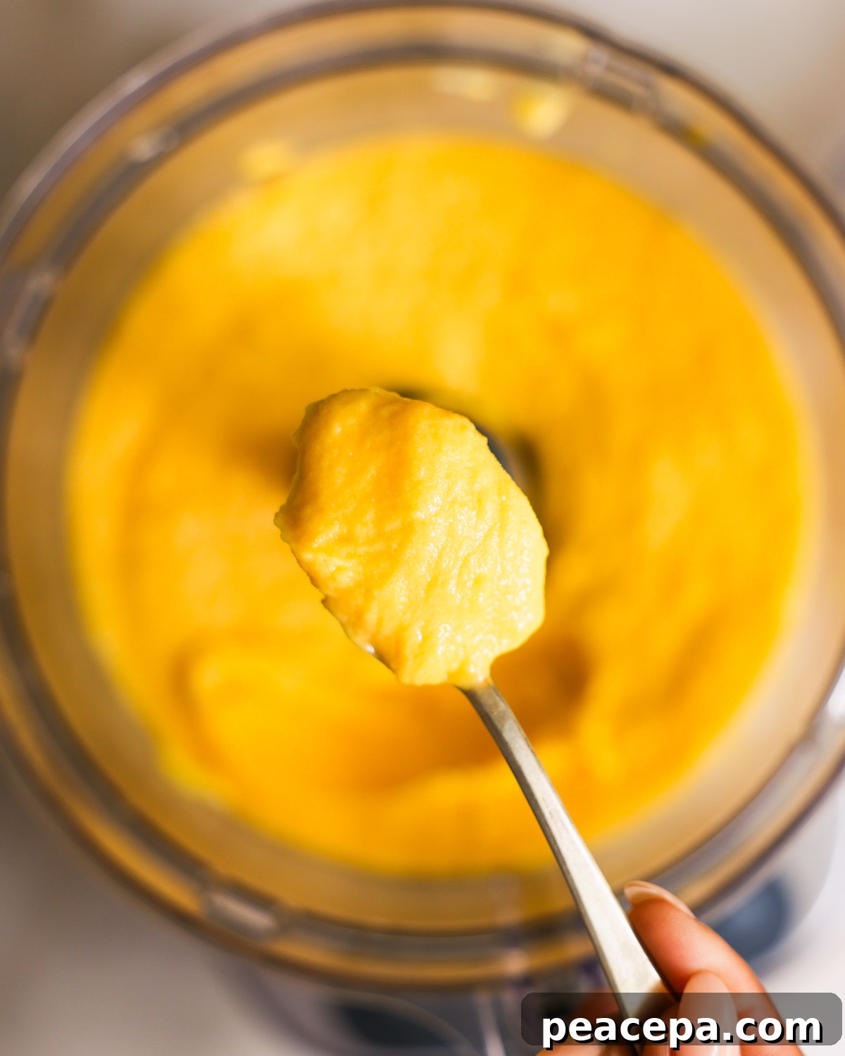 scoop of sorbet