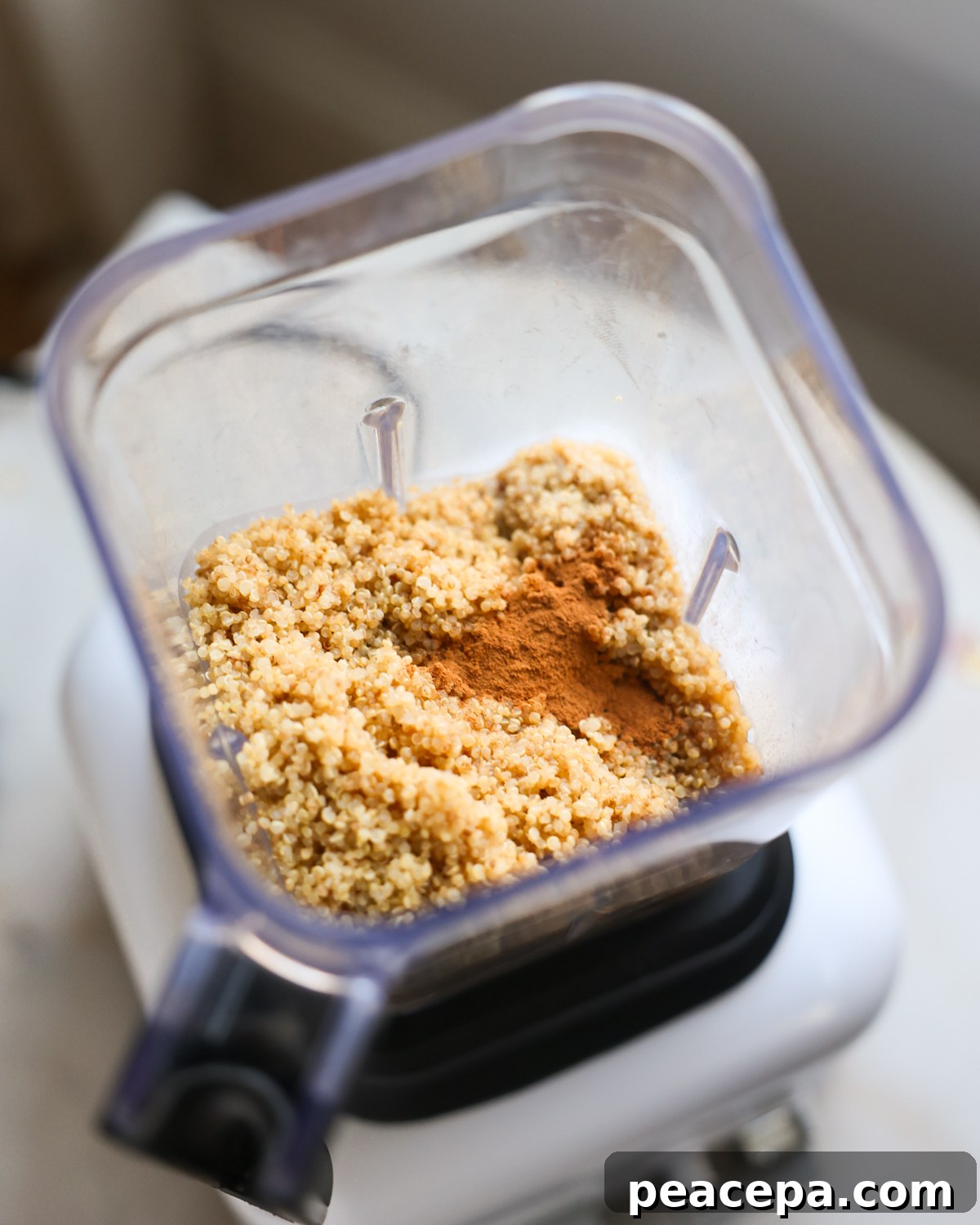 quinoa and spices in blender